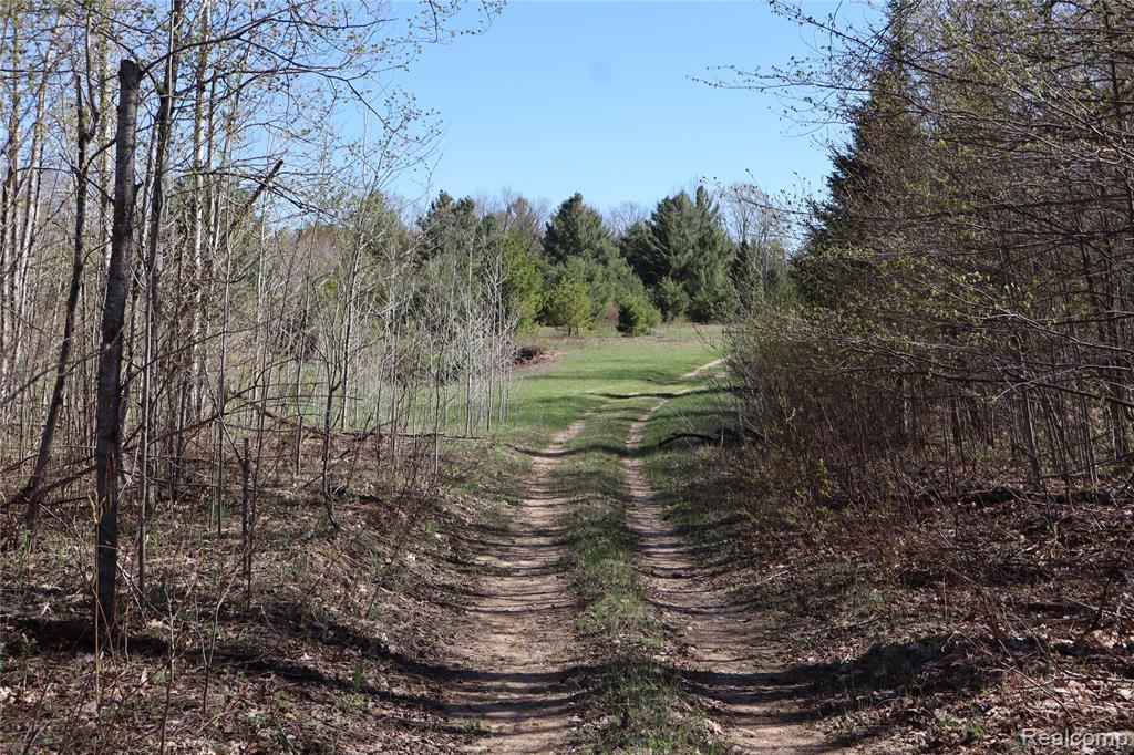 5575 East 26 Mile Road Pickford, MI 49774 - Photo 17 of 36
