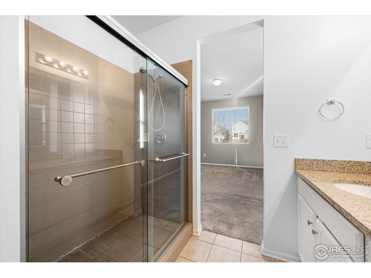 1604 Sorenson Drive Windsor, CO 80550 - Photo 27 of 32 a bathroom with a shower and a sink