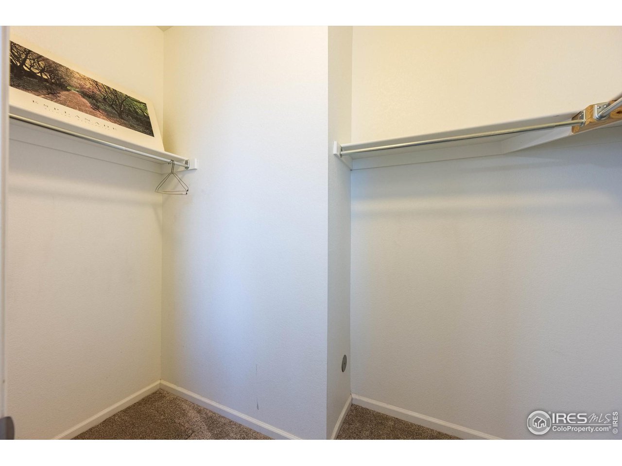 1604 Sorenson Drive Windsor, CO 80550 - Photo 29 of 32 a view of small space with empty racks