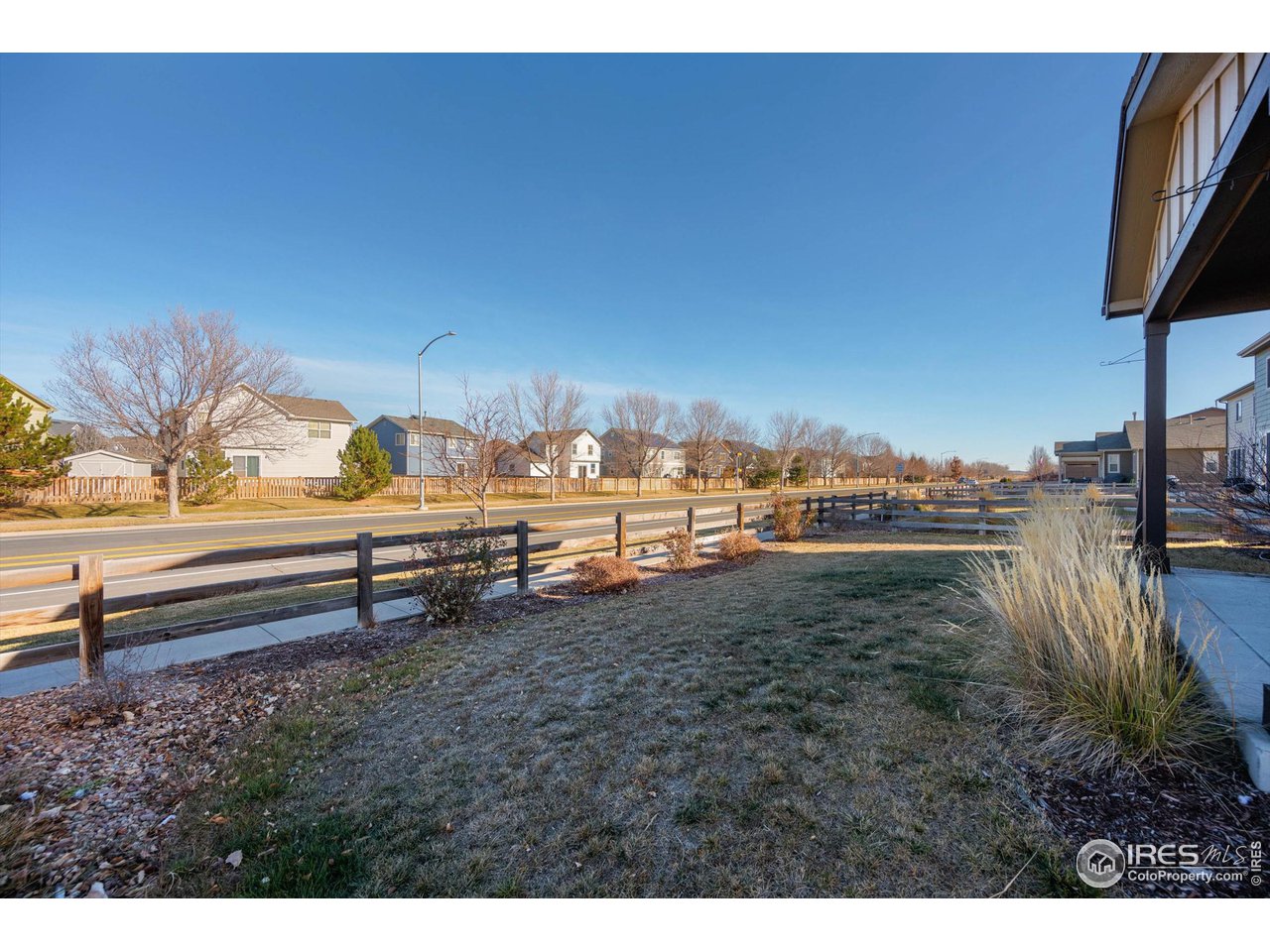 1604 Sorenson Drive Windsor, CO 80550 - Photo 32 of 32 a view of a yard