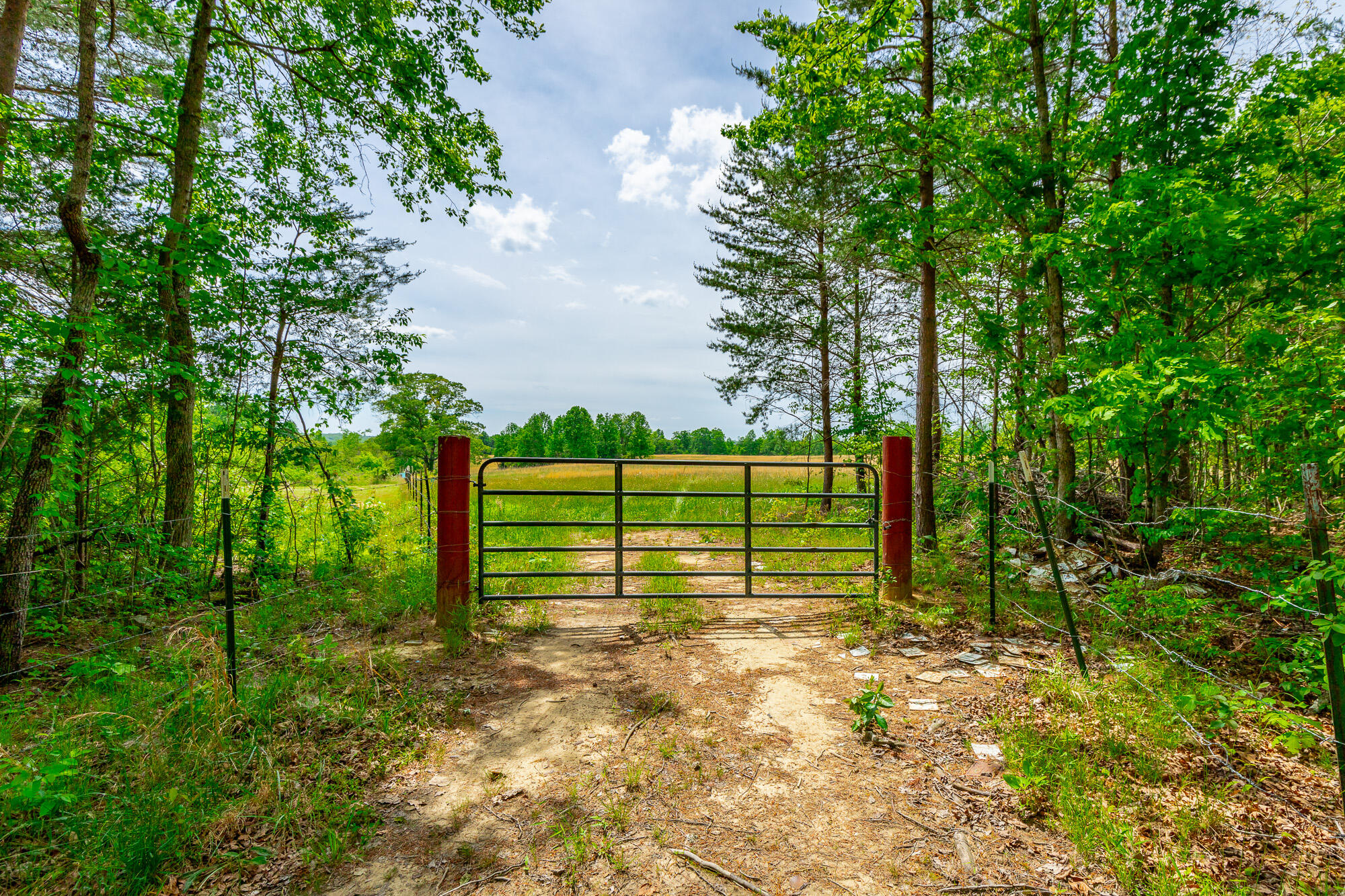 0 Ray Gadd Road Graysville, TN 37338 - Photo 21 of 109 Ray Gadd Road Lot HD-58