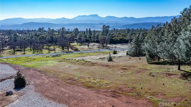 a view of road with large trees