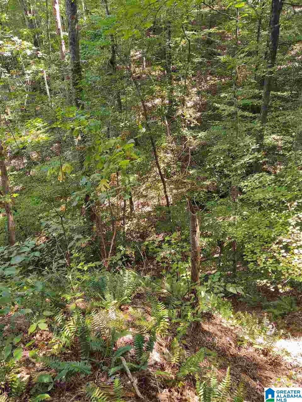 440 Riverview Road, Unit 1 Adger, AL 35006 - Photo 3 of 6
