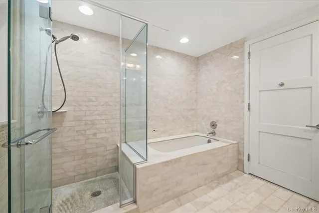 a bathroom with a bathtub and a shower