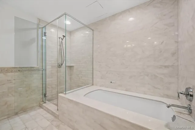 a bathroom with a bathtub and a shower