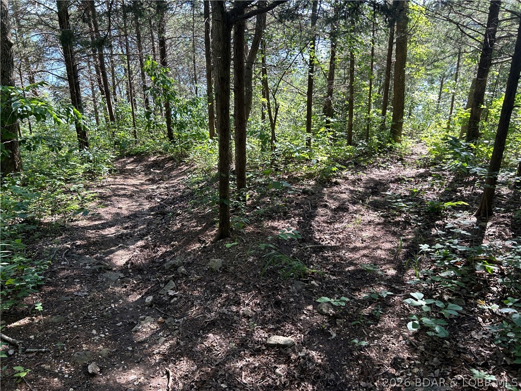 26792 Boone Road Barnett, MO 65011 - Photo 66 of 76
