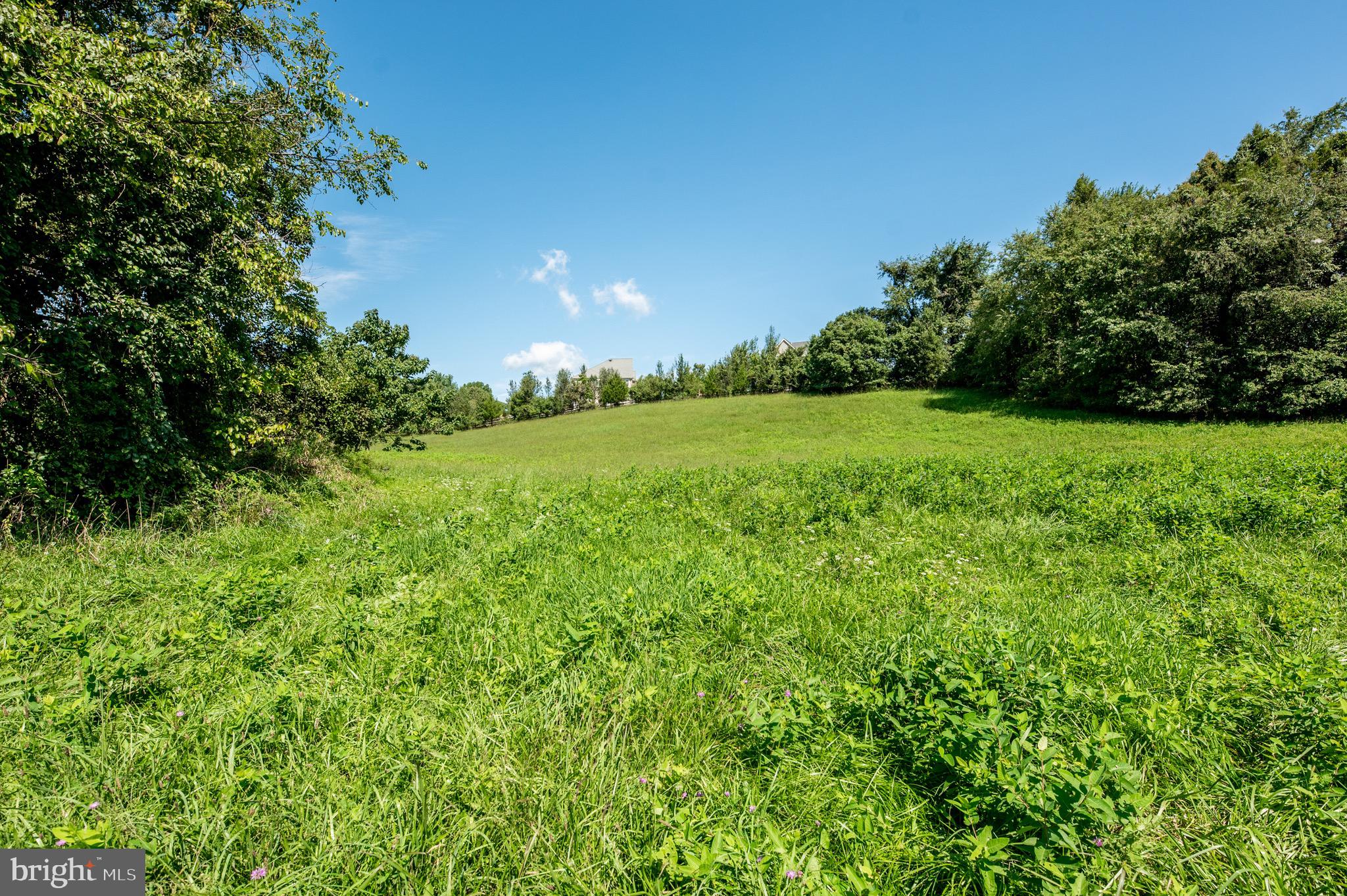 2039-2035 Lenape Unionville Road Kennett Square, PA 19348 - Photo 12 of 19 a view of a big yard with plants and large trees