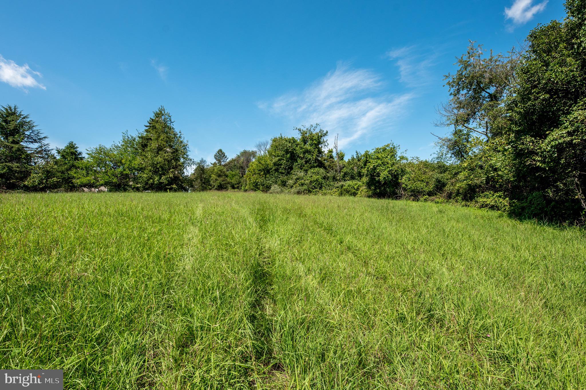 2039-2035 Lenape Unionville Road Kennett Square, PA 19348 - Photo 15 of 19 a view of a green field with plants in the background