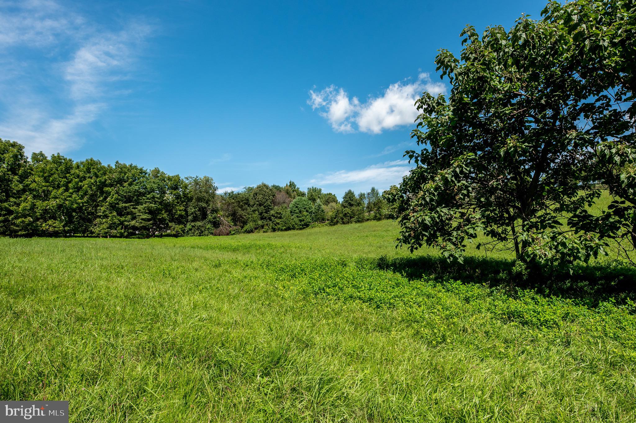 2039-2035 Lenape Unionville Road Kennett Square, PA 19348 - Photo 17 of 19 a view of a yard with a tree