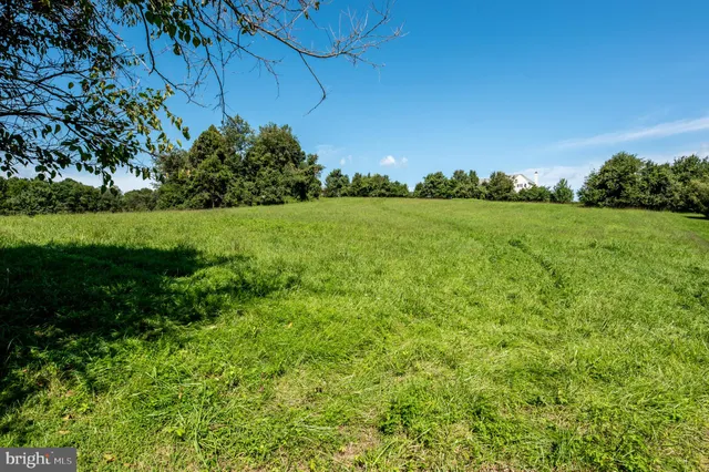 a view of yard with green space