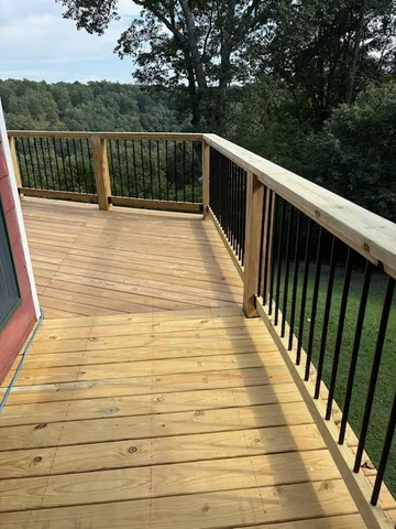a view of a lush green forest with lawn chairs and plants