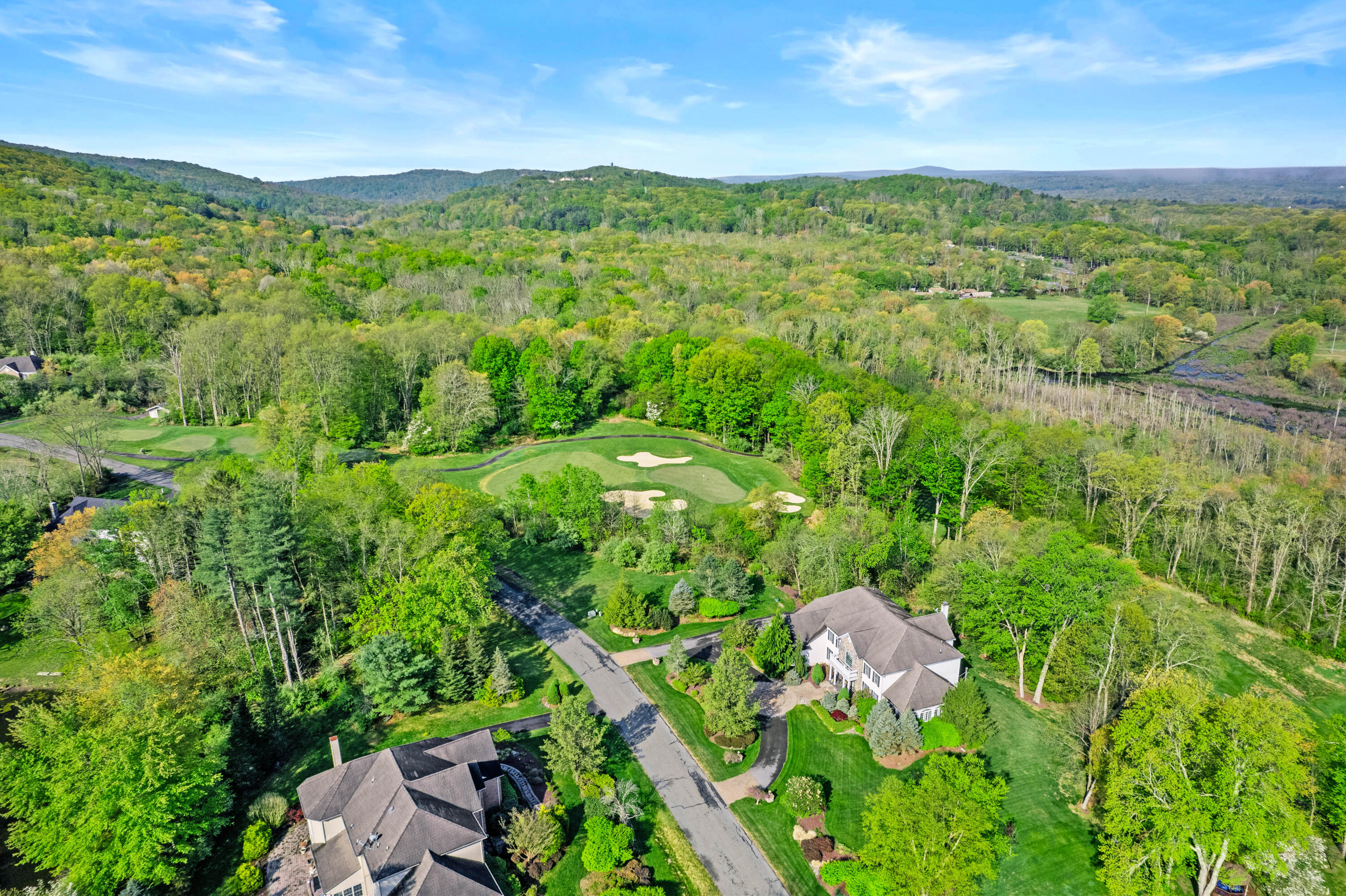 145 Rising Meadow Way East Stroudsburg, PA 18302 - Photo 89 of 94 Drone (11)