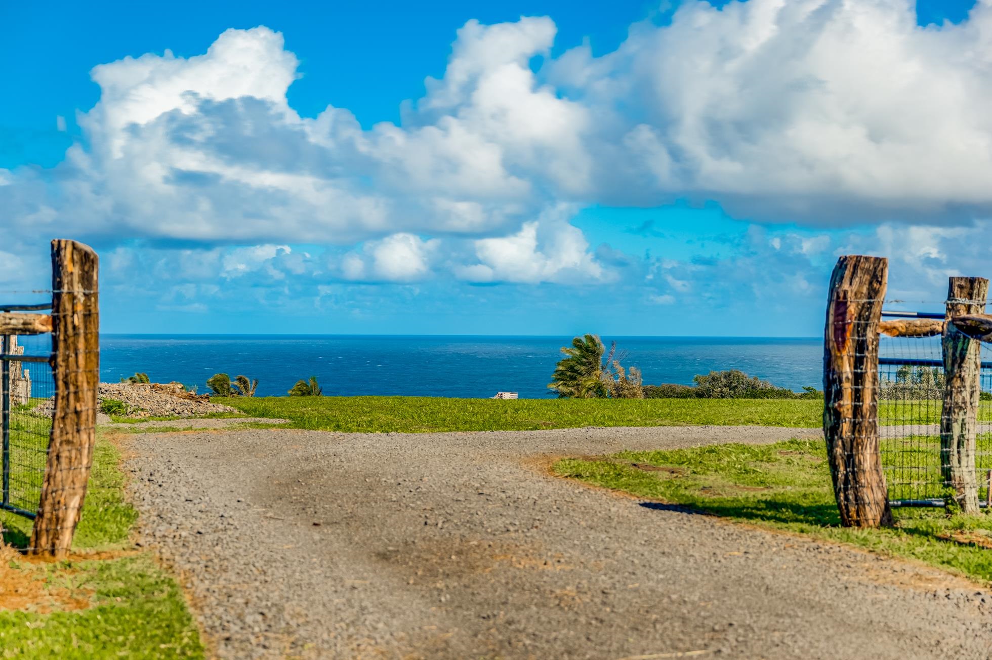 0 Kai Poi Place, Unit A Haiku, HI 96708 - Photo 11 of 21 a view of a yard with an outdoor space