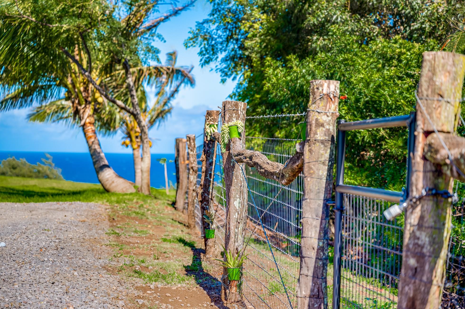 0 Kai Poi Place, Unit A Haiku, HI 96708 - Photo 12 of 21 a view of a yard with plants