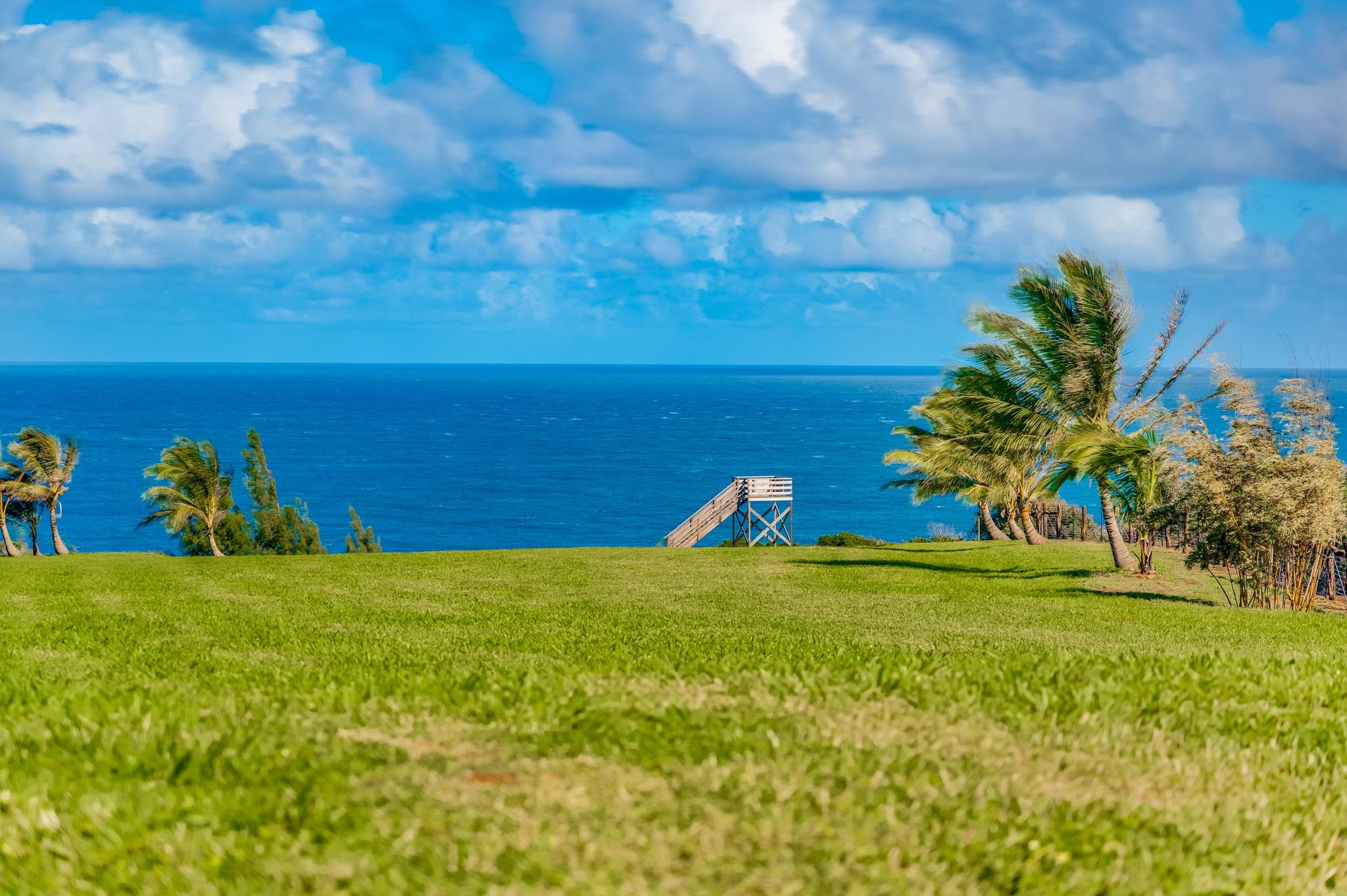 0 Kai Poi Place, Unit A Haiku, HI 96708 - Photo 4 of 21 a view of a field with an empty space