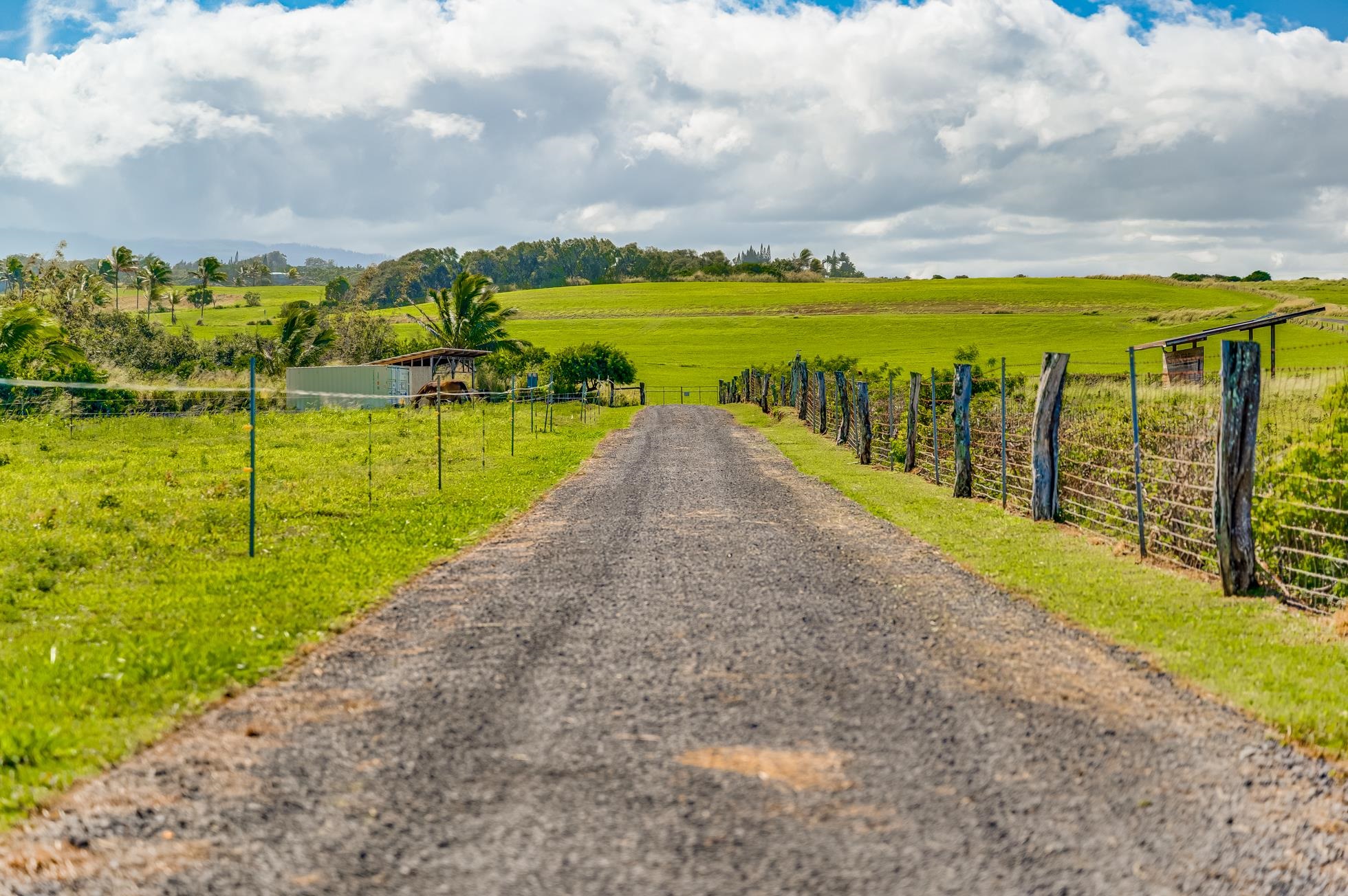 0 Kai Poi Place, Unit A Haiku, HI 96708 - Photo 10 of 21 a view of an ocean from a building