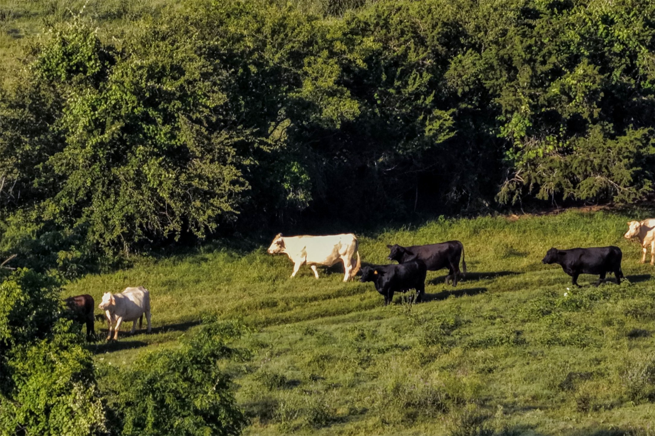 0 Straws Mill Road Gatesville, TX 76528 - Photo 33 of 40