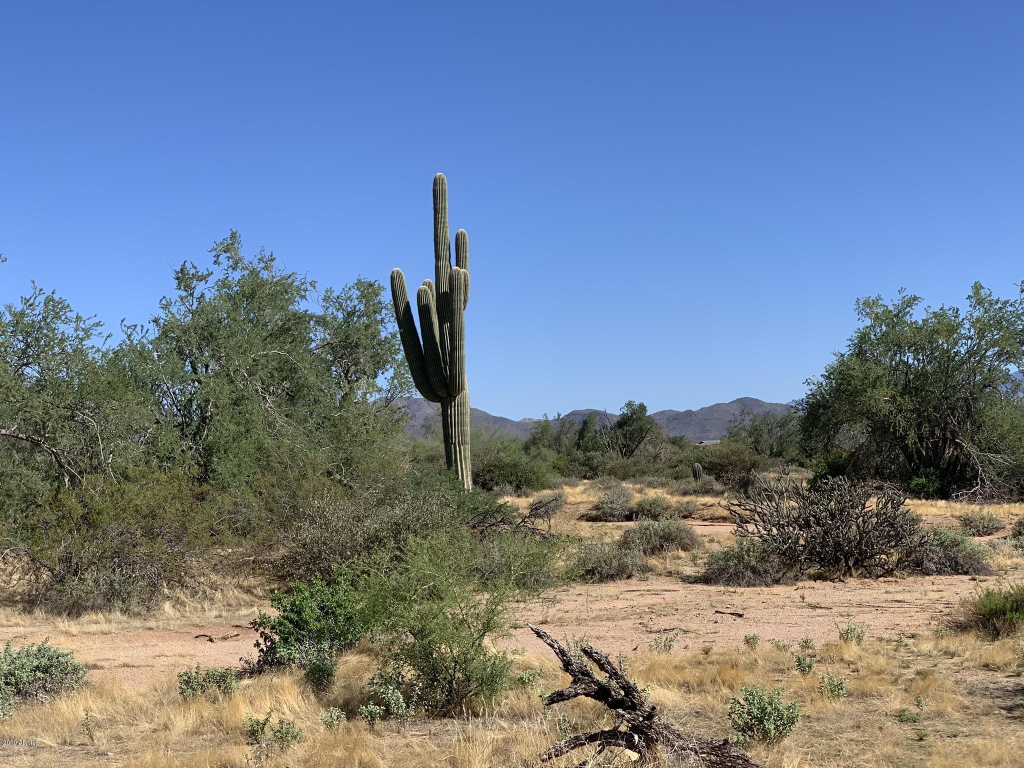 30304 North 174th Street Rio Verde, AZ 85263 - Photo 8 of 25 Enjoy the Natural Landscape