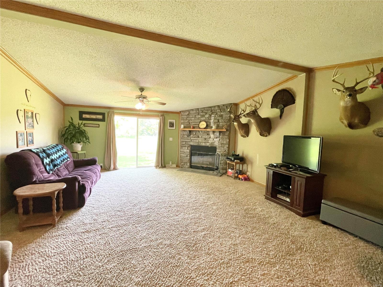 247 Titcomb Butler, IL 62015 - Photo 12 of 34 Gallery Image 12