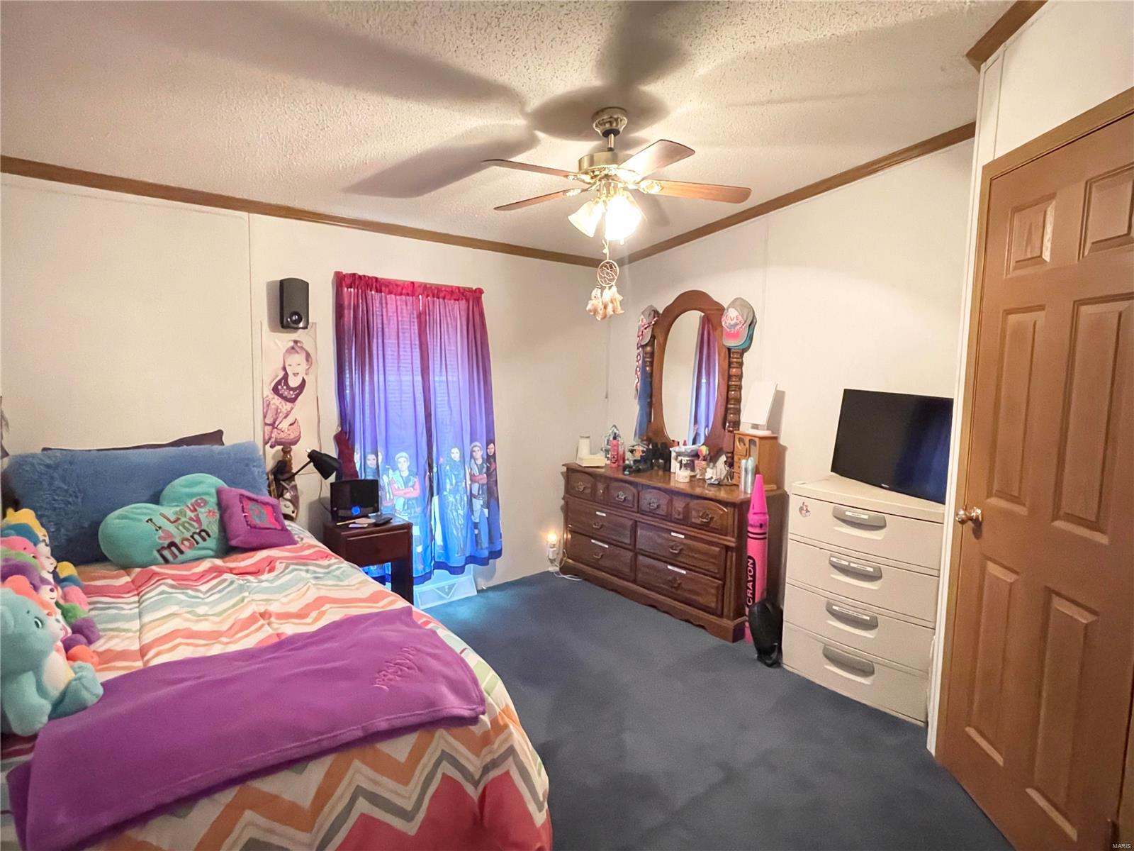 247 Titcomb Butler, IL 62015 - Photo 22 of 34 Gallery Image 22