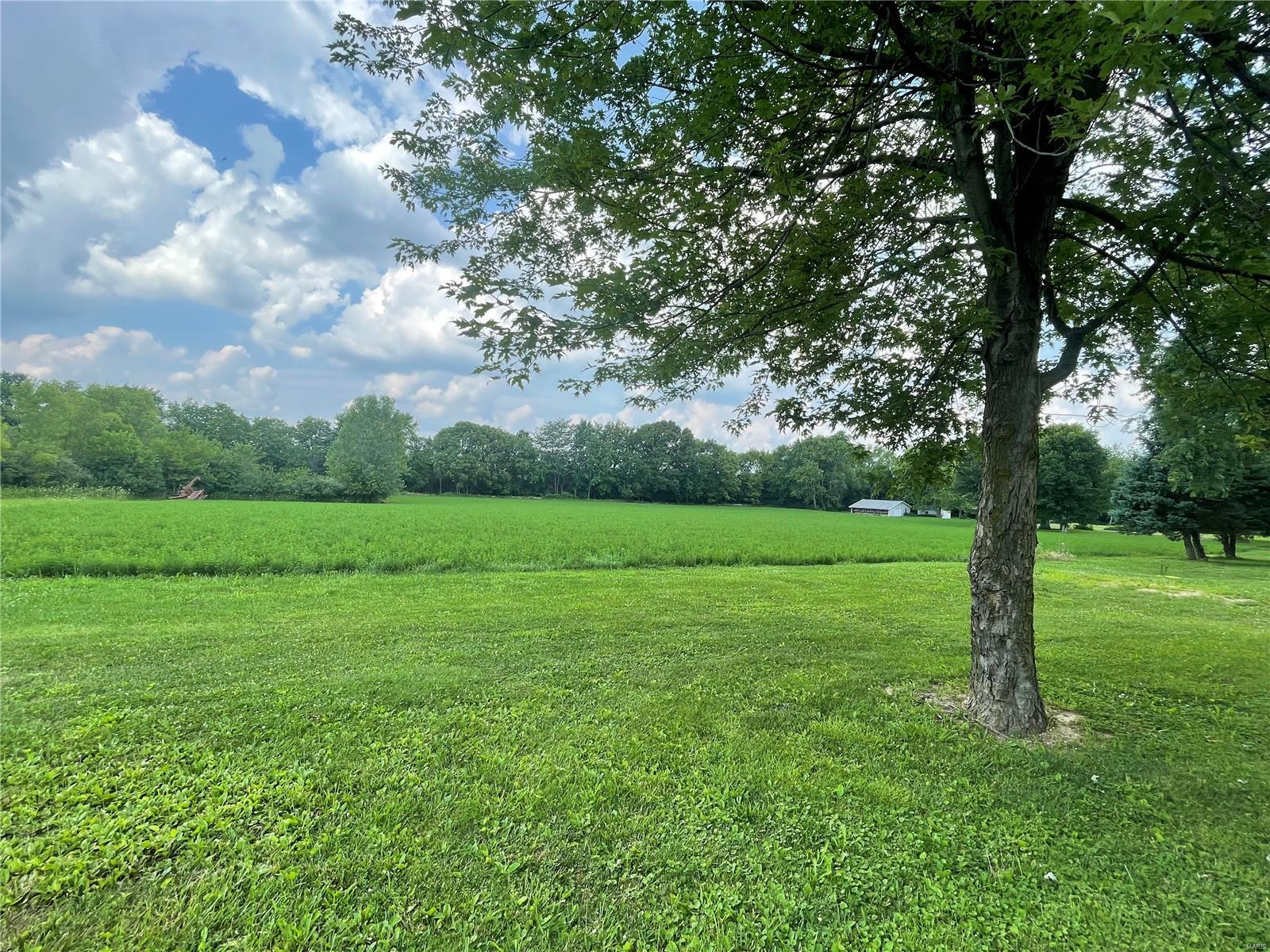 247 Titcomb Butler, IL 62015 - Photo 30 of 34 Gallery Image 30