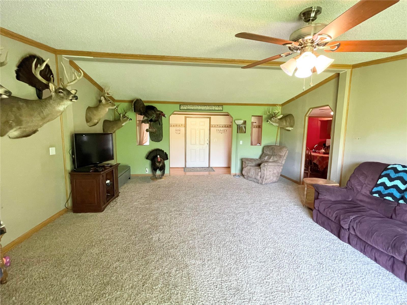 247 Titcomb Butler, IL 62015 - Photo 8 of 34 Gallery Image 8