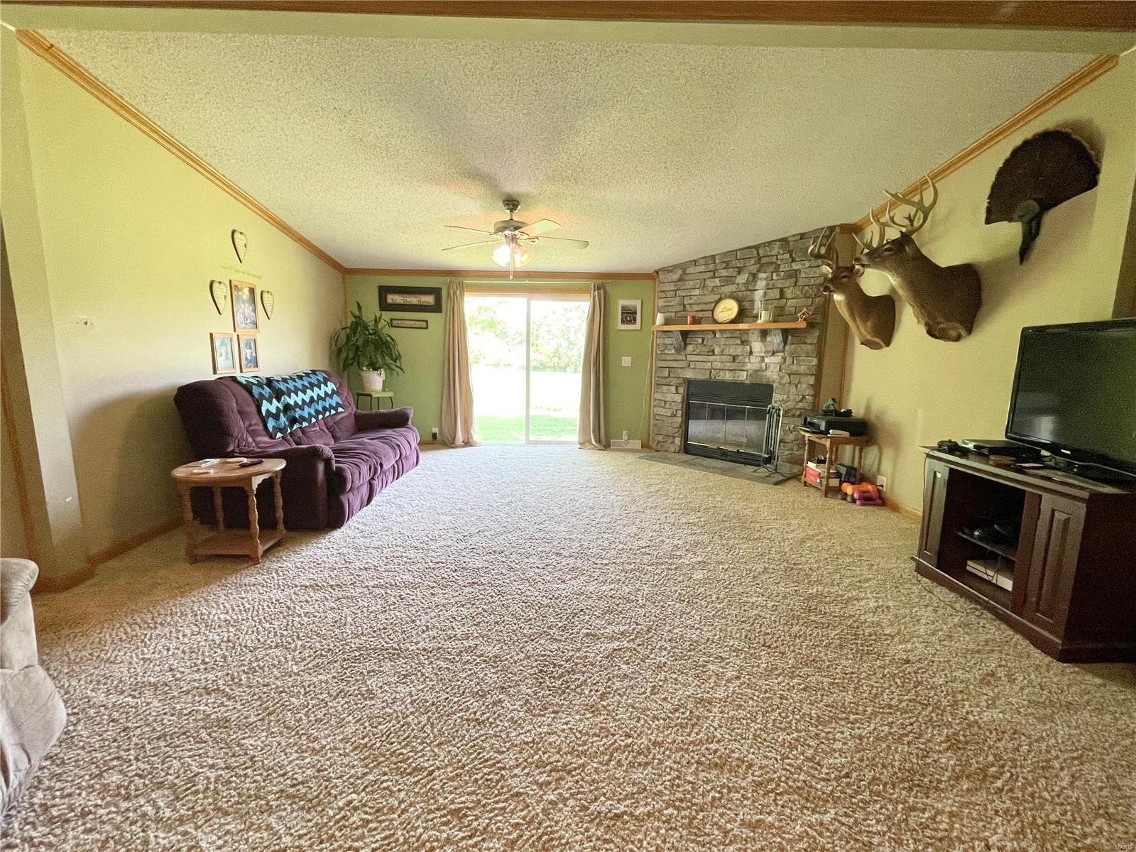 247 Titcomb Butler, IL 62015 - Photo 9 of 34 Gallery Image 9