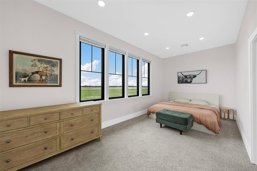1197 Prairie Chapel Road Crawford, TX 76638 - Photo 29 of 40 Bedroom with carpet, baseboards, and recessed lighting
