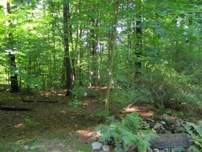 387 New Bridge Road Acton, ME 04001 - Photo 20 of 22 Yard/Garden.