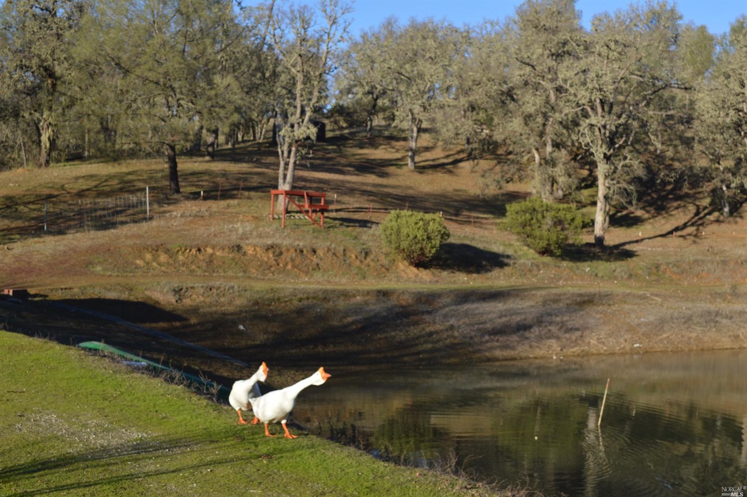 6800 Pope Valley Road St. Helena, CA 94574 - Photo 1 of 1 Gallery Image 1