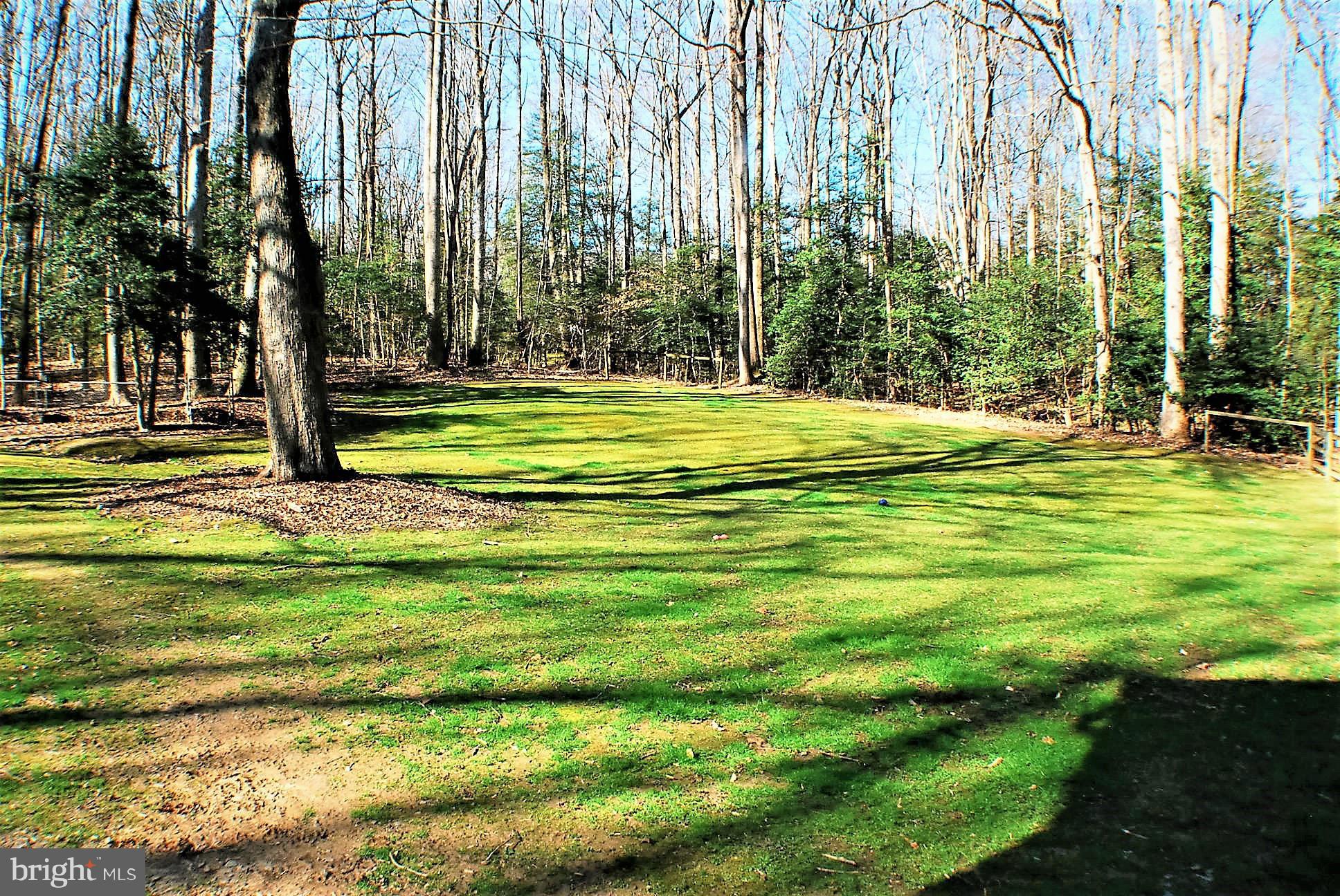 6909 Harvey Road Manassas, VA 20112 - Photo 22 of 30 View Yard