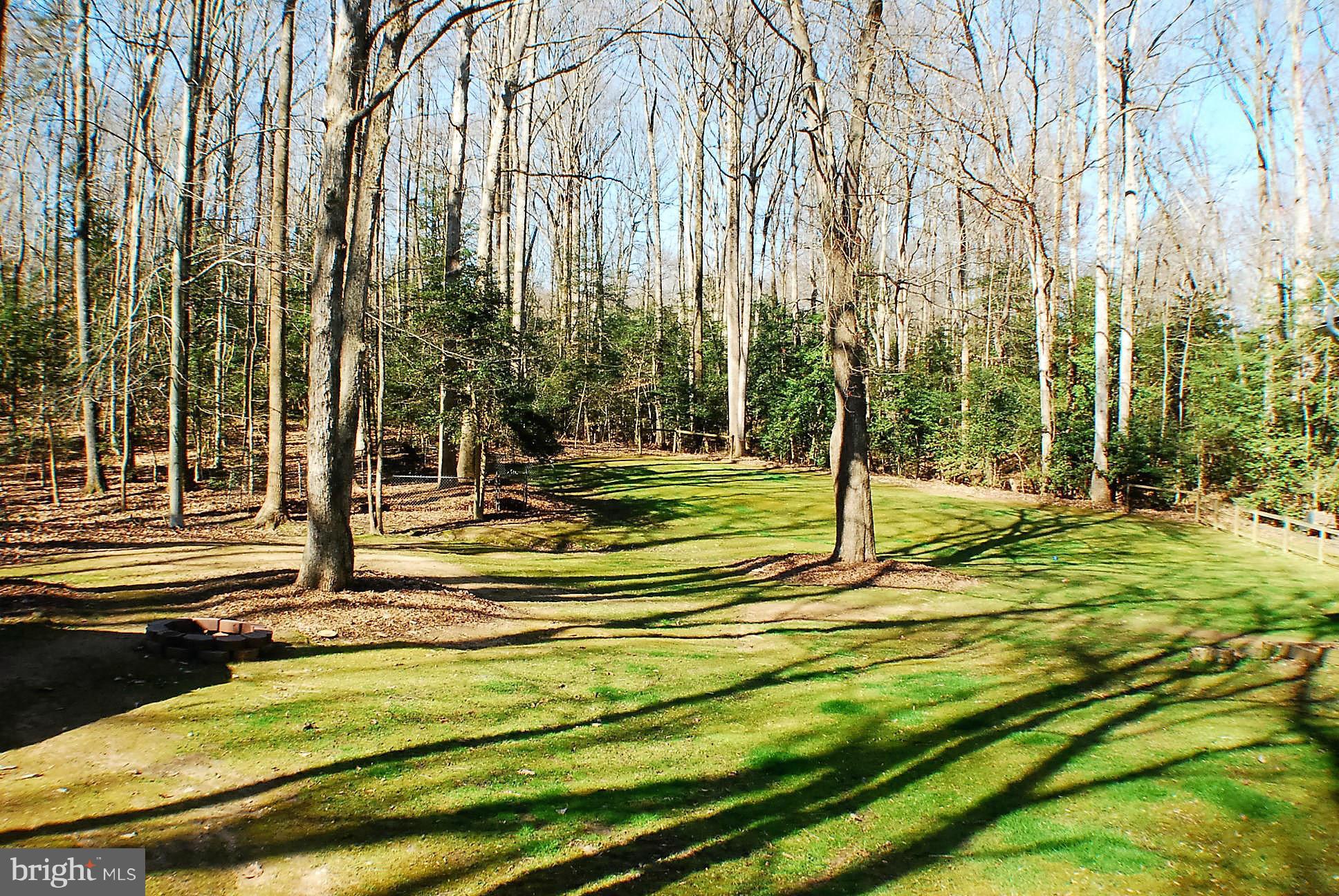 6909 Harvey Road Manassas, VA 20112 - Photo 25 of 30 View Yard