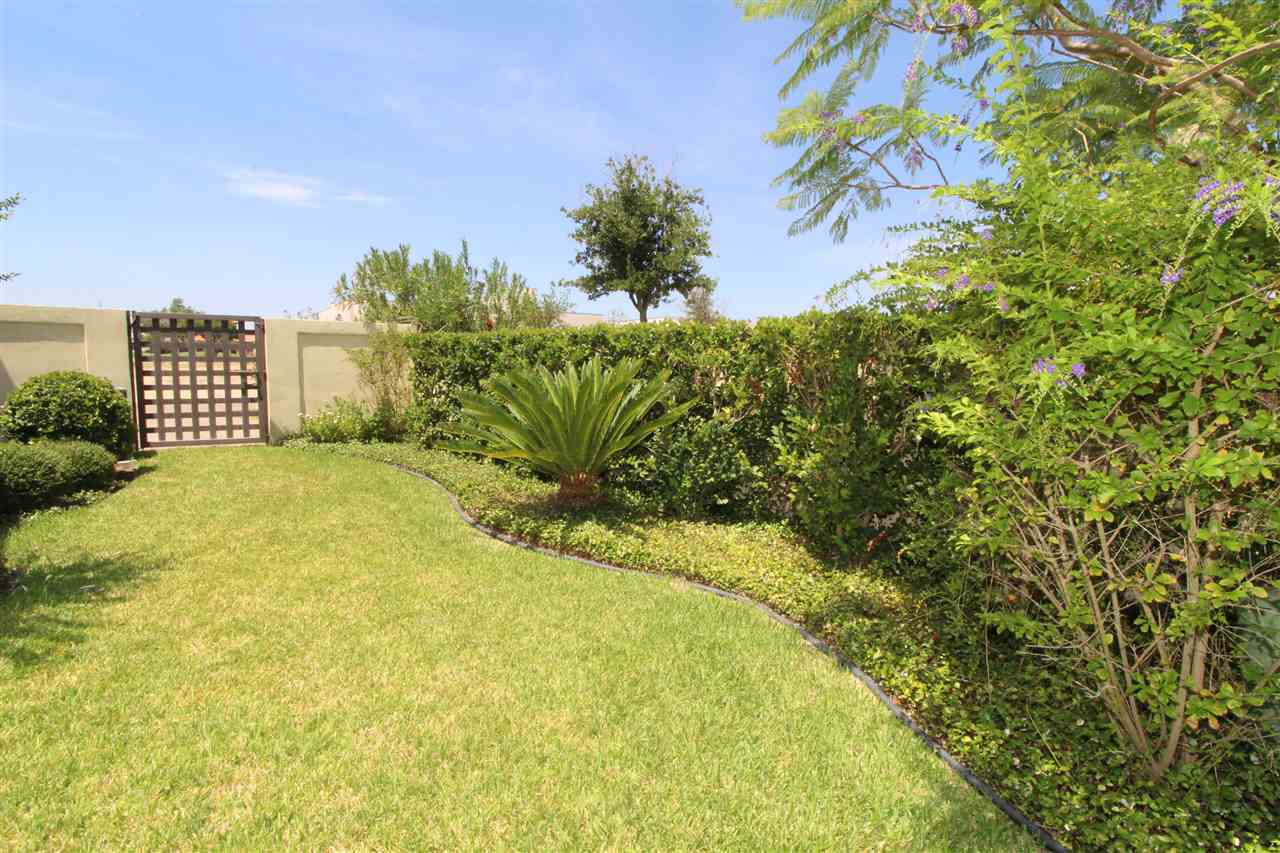 8314 Deer Ridge Boulevard Laredo, TX 78045 - Photo 20 of 20 a view of a big yard with plants and large trees