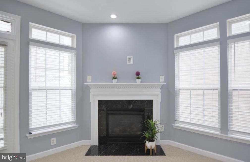 422 Sheila Street Gaithersburg, MD 20878 - Photo 15 of 46 Gas Fireplace