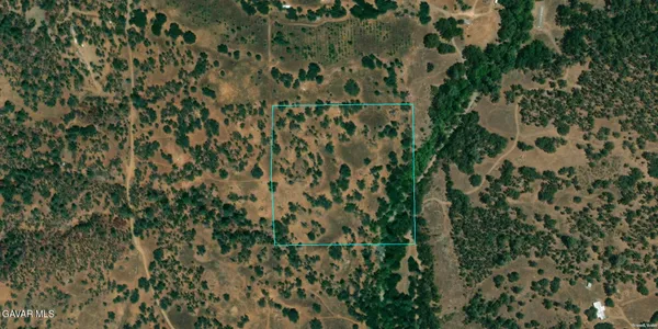 a view of a plant with lots of bushes