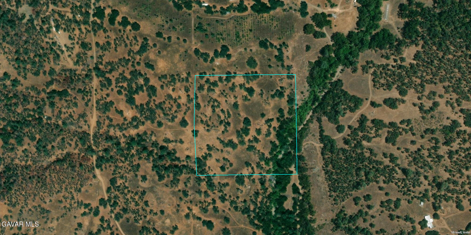 a view of a plant with lots of bushes