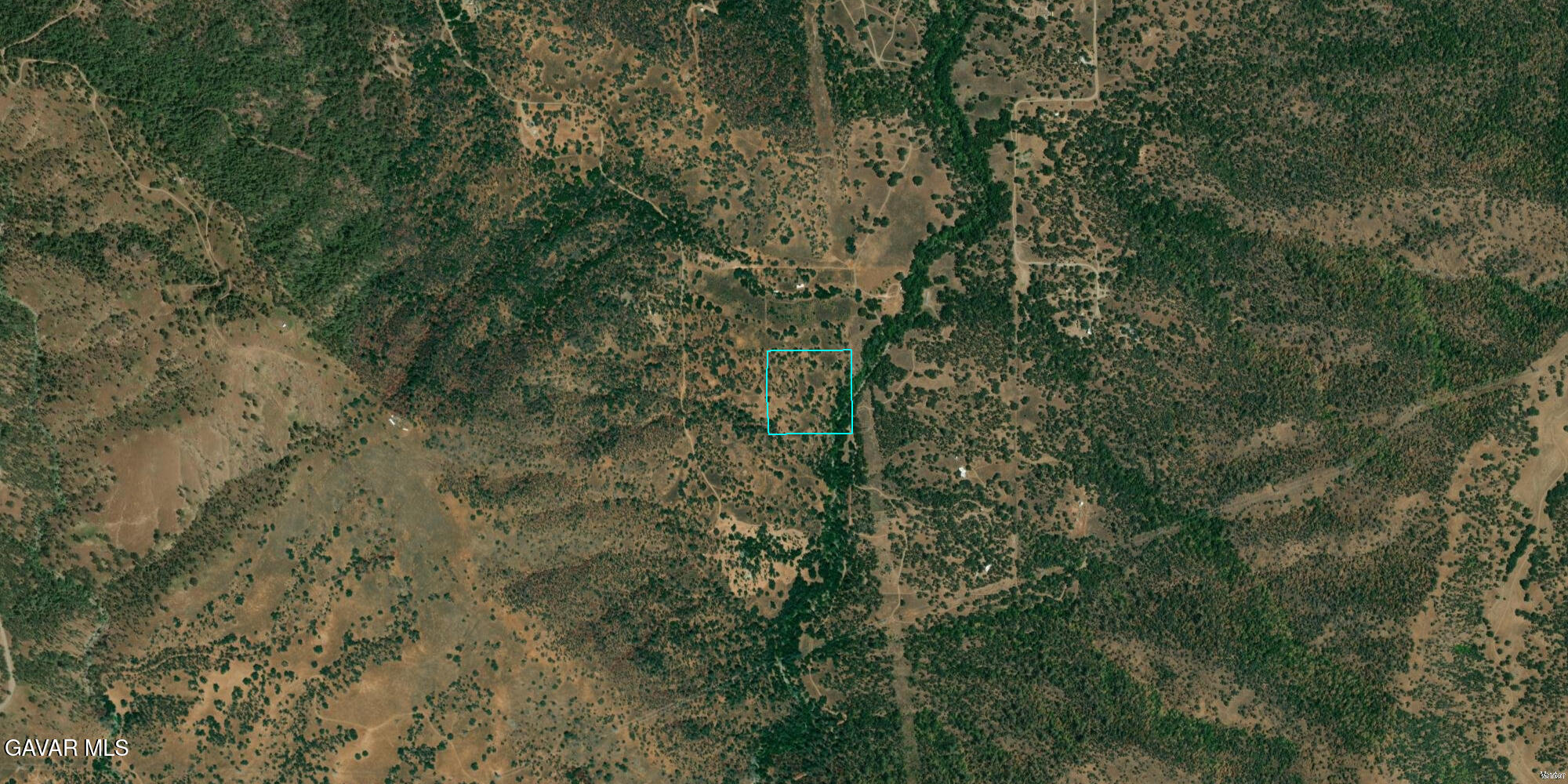 33089 Sycamore Road Tollhouse, CA 93667 - Photo 3 of 12 a view of a forest with lots of trees