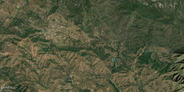 a view of a forest with lots of trees