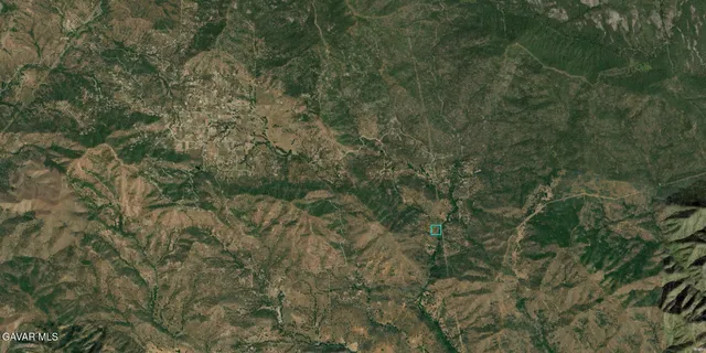 a view of a forest with lots of trees