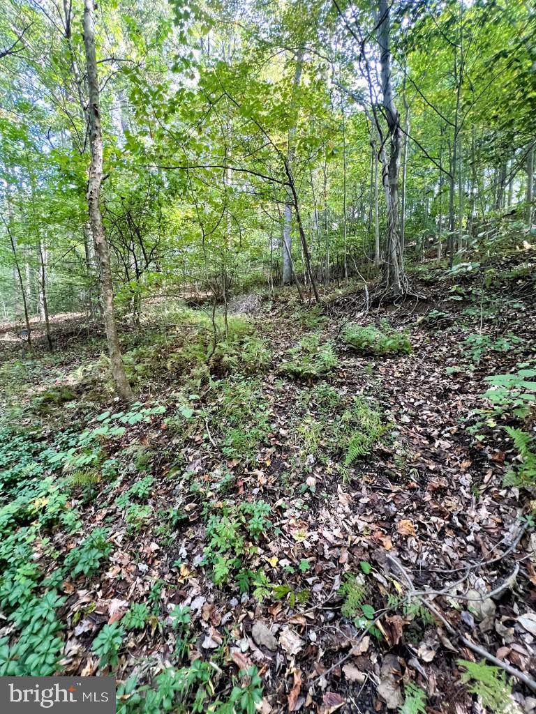 1 Laurel Ridge Road Wilmington, DE 19807 - Photo 11 of 16