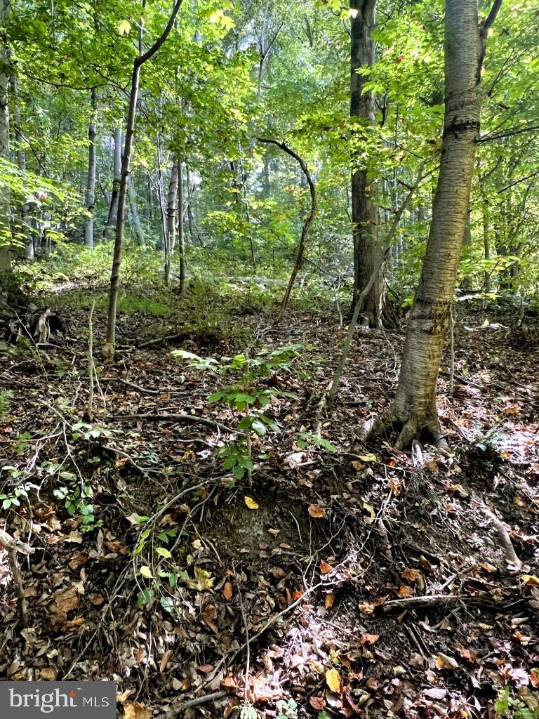 1 Laurel Ridge Road Wilmington, DE 19807 - Photo 13 of 16