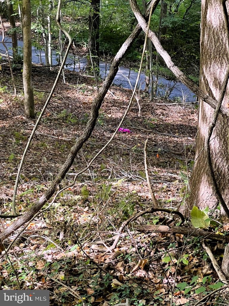 1 Laurel Ridge Road Wilmington, DE 19807 - Photo 14 of 16