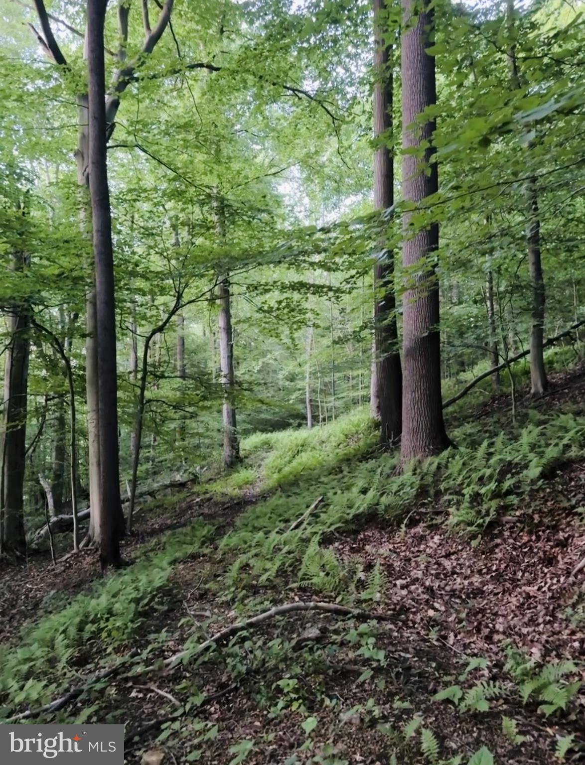 1 Laurel Ridge Road Wilmington, DE 19807 - Photo 16 of 16