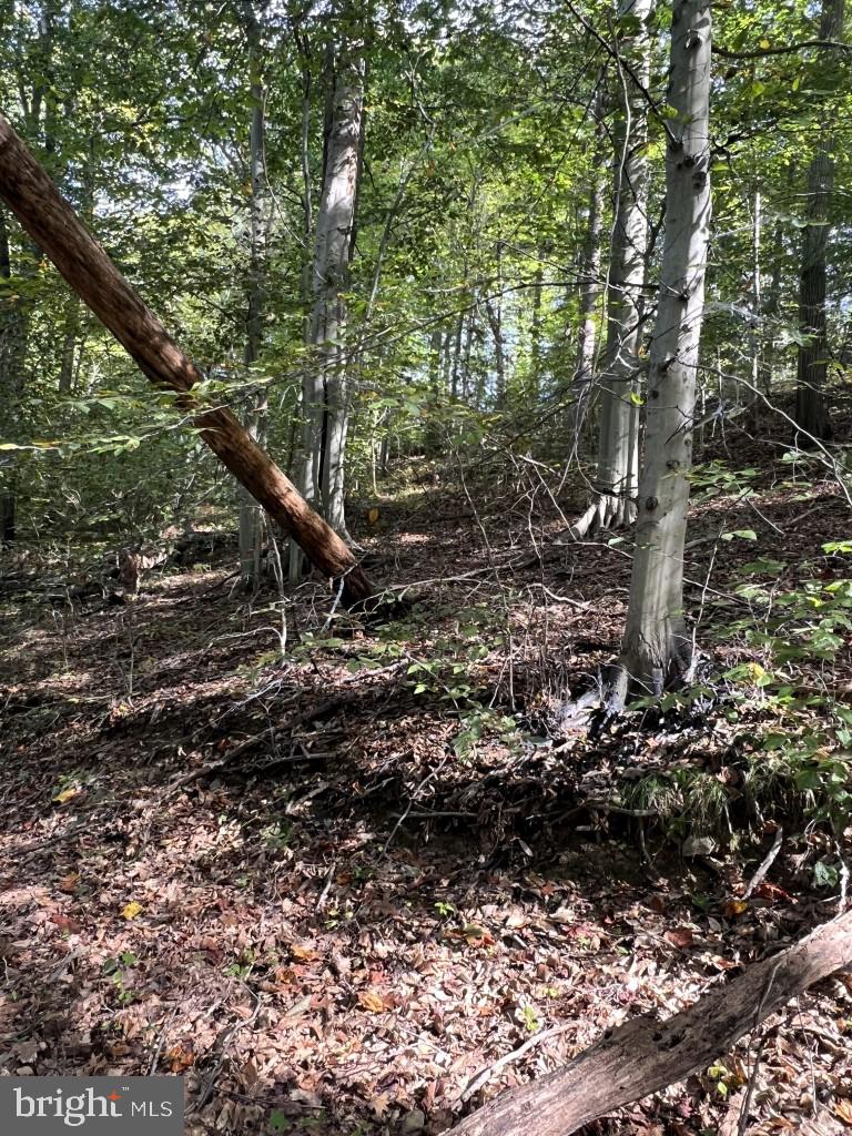 1 Laurel Ridge Road Wilmington, DE 19807 - Photo 3 of 16