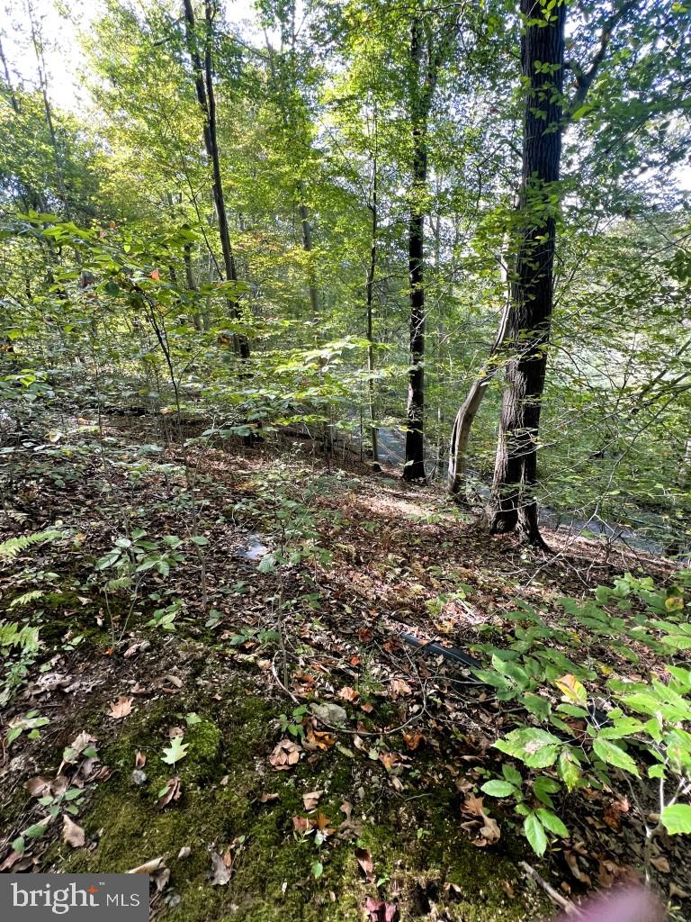 1 Laurel Ridge Road Wilmington, DE 19807 - Photo 4 of 16