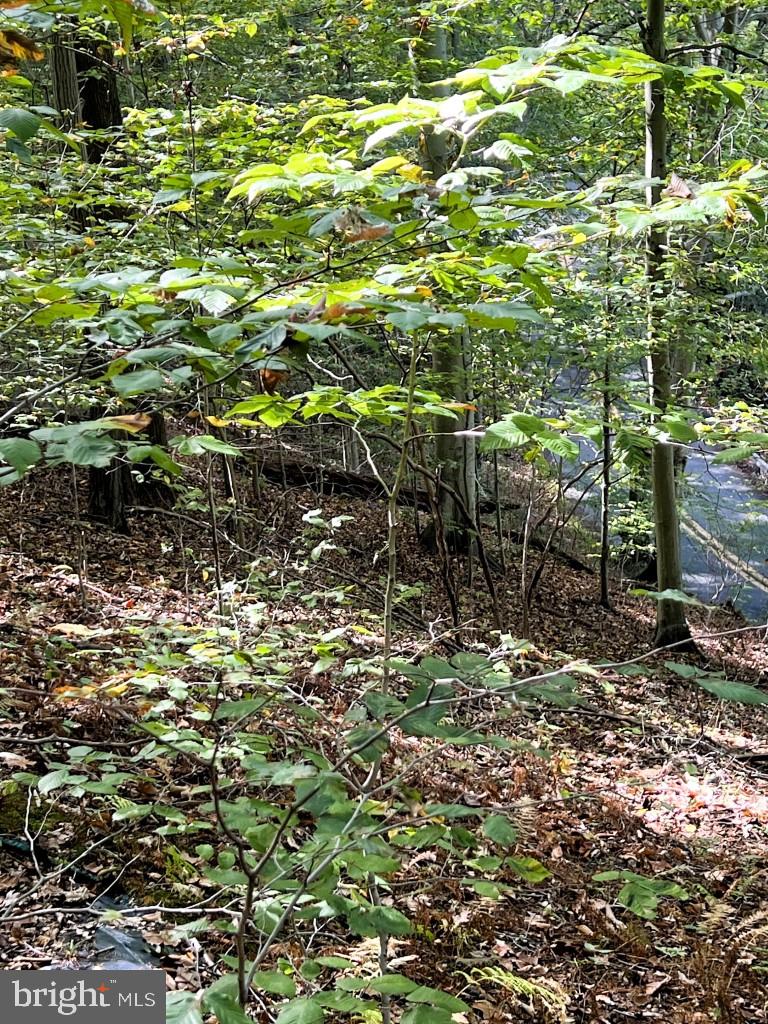 1 Laurel Ridge Road Wilmington, DE 19807 - Photo 5 of 16