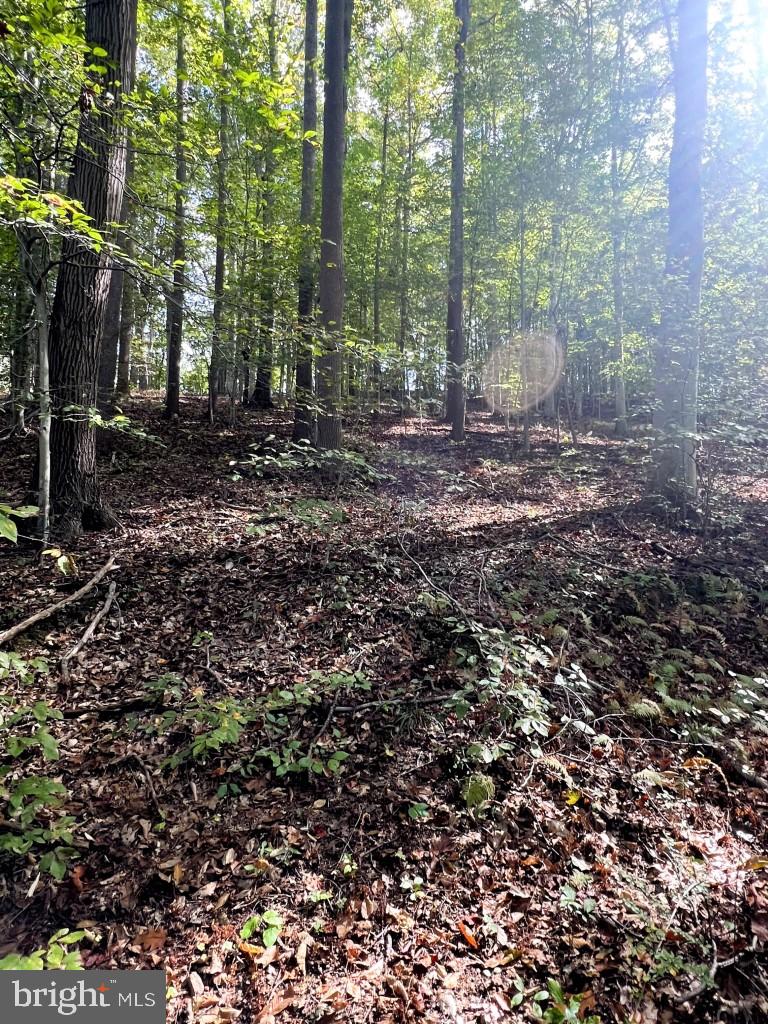 1 Laurel Ridge Road Wilmington, DE 19807 - Photo 7 of 16