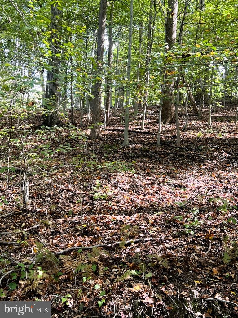 1 Laurel Ridge Road Wilmington, DE 19807 - Photo 9 of 16