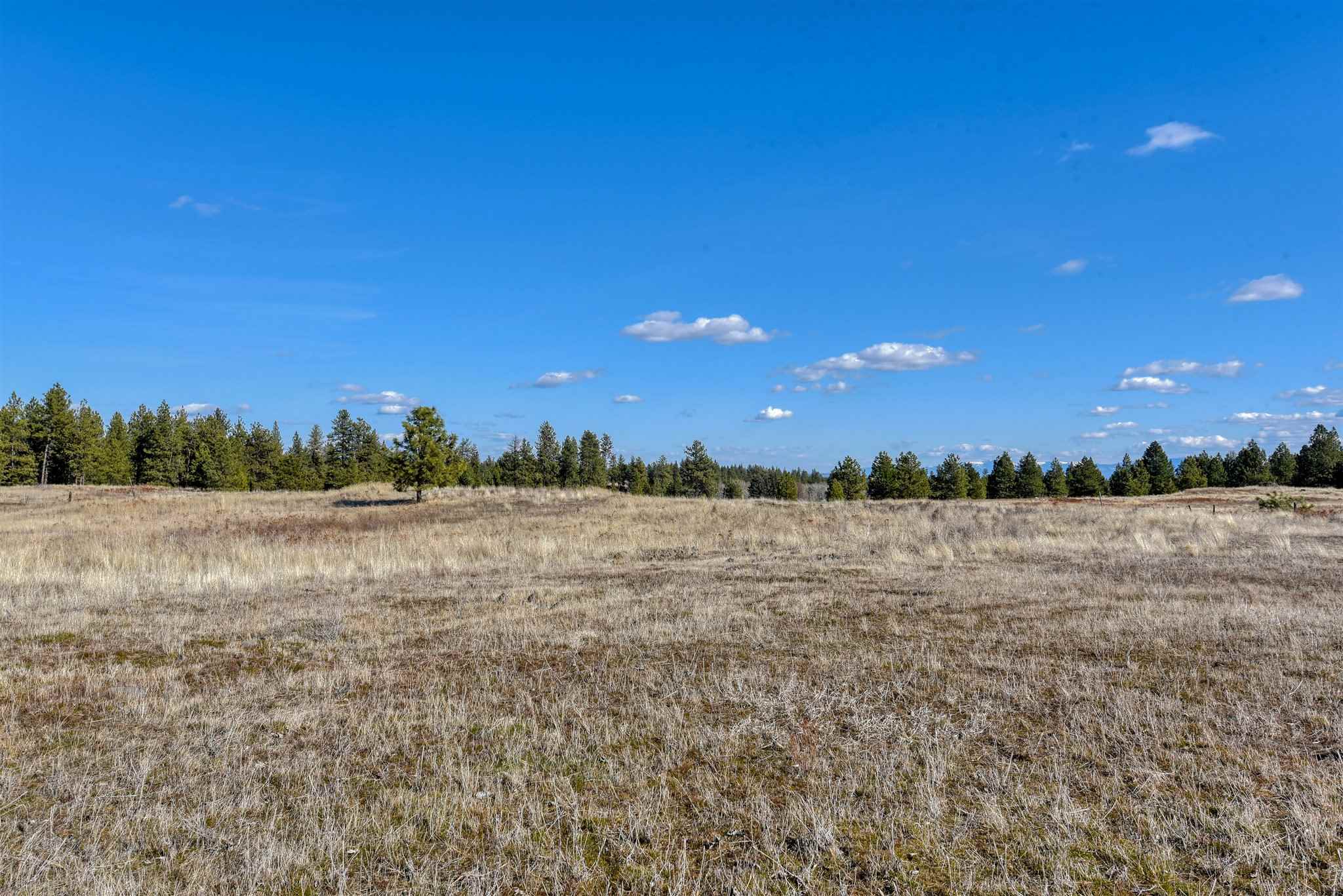 7512 North Rambo Road Spokane, WA 99224 - Photo 35 of 46