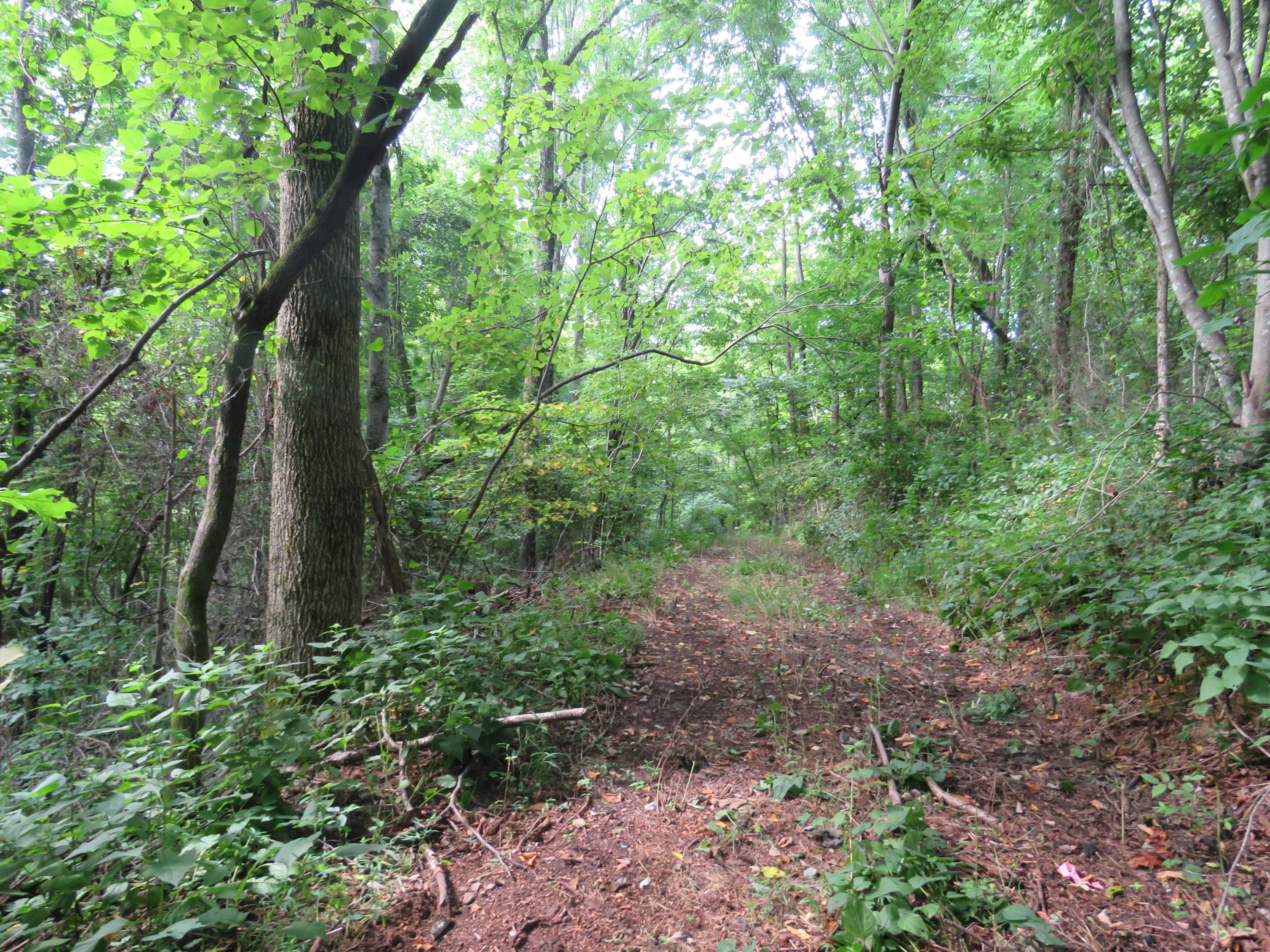 18.01-ac Crabtree Road Hilham, TN 38568 - Photo 3 of 10 3